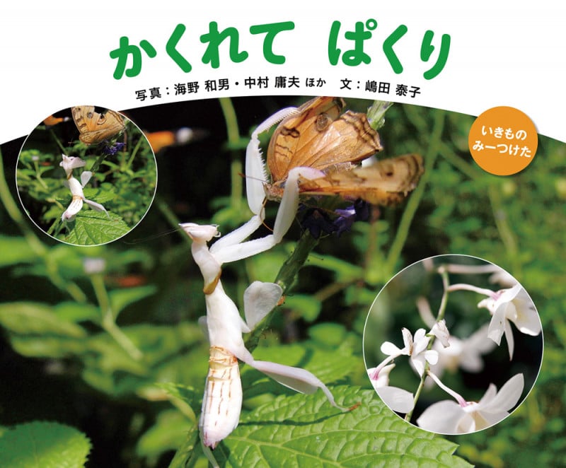 かくれてぱくり (いきものみーつけた)