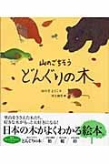 山のごちそう どんぐりの木 (絵本・気になる日本の木)