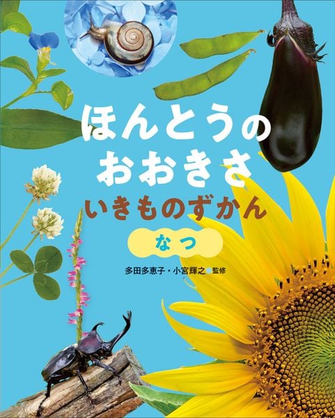 なつ (ほんとうの おおきさ いきものずかん)