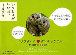 いっしょがいいね。の詳細を見る