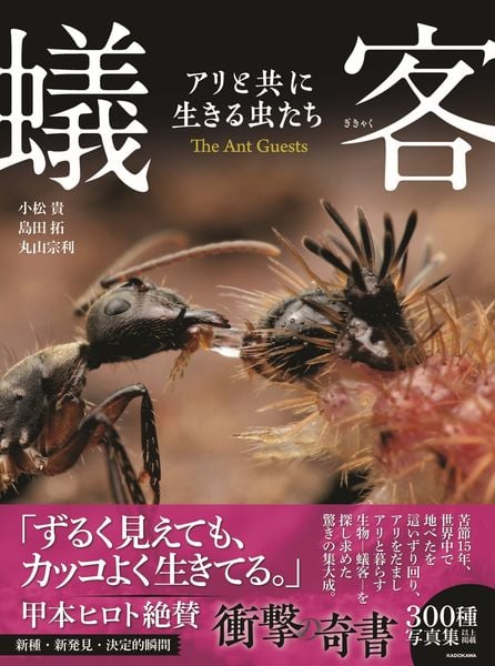 蟻客 アリと共に生きる虫たち