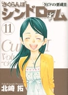 さくらんぼシンドローム クピドの悪戯 II (11) (ヤングサンデーC)