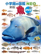 魚 新版 (小学館の図鑑NEO 4)