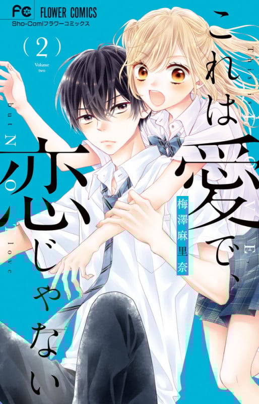 これは愛で、恋じゃない (2) (フラワーC少コミ)