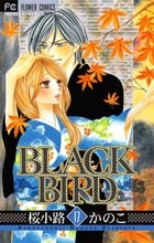 BLACK BIRD (17) (フラワーCベツコミ)