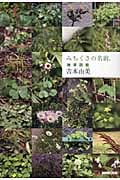 みちくさの名前。 雑草図鑑