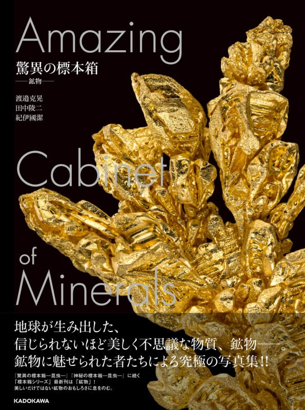 驚異の標本箱 ‐鉱物‐