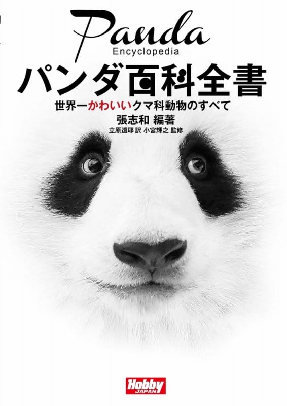 パンダ百科全書 世界一かわいいクマ科動物のすべて