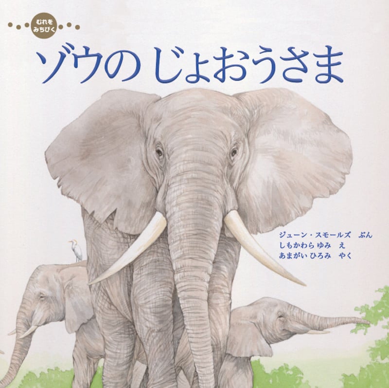 むれをみちびく ゾウのじょおうさま