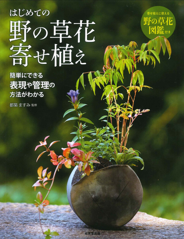 はじめての野の草花寄せ植えの詳細を見る