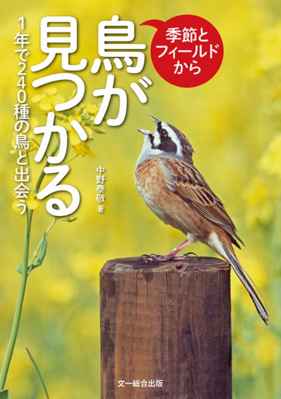 季節とフィールドから鳥が見つかる 1年で240種の鳥と出会う
