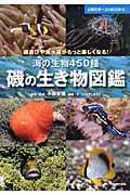 磯の生き物図鑑 磯遊びや海水浴がもっと楽しくなる! 海の生物450種 (主婦の友ベストBooks)
