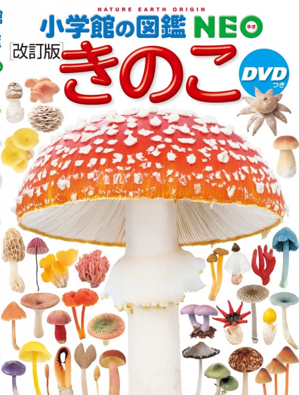 小学館の図鑑NEO きのこ DVDつき[改訂版] (小学館の図鑑NEO)