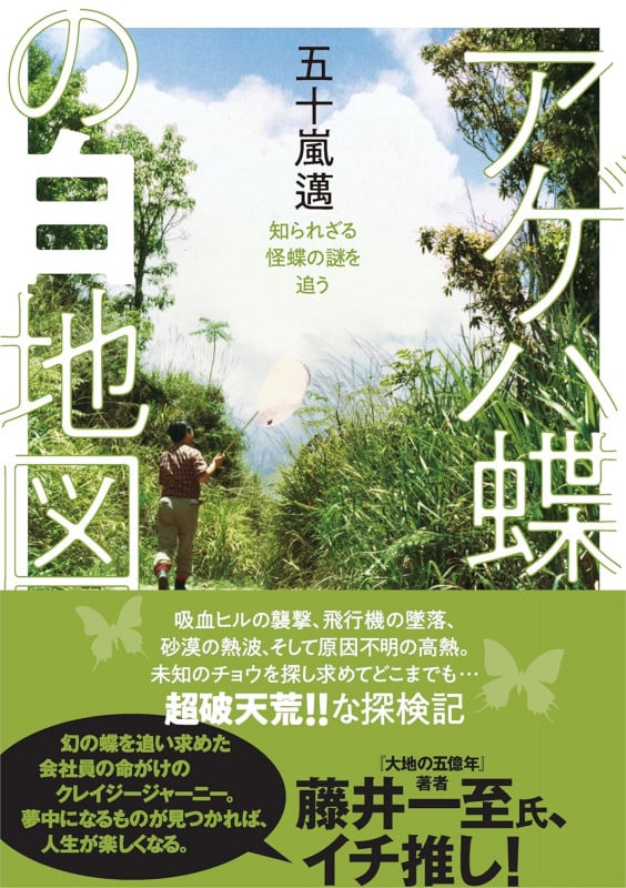 アゲハ蝶の白地図 知られざる怪蝶の謎を追う (ヤマケイ文庫)