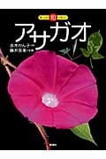もっと知りたい アサガオ