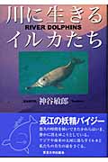 川に生きるイルカたち