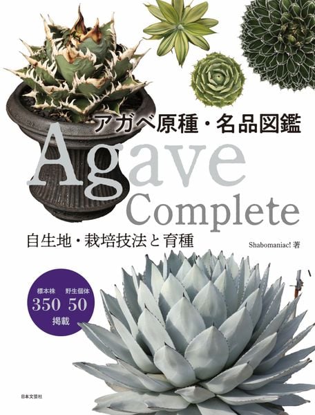 【超貴重品！】原色シャボテン多肉植物大図鑑 全3巻　箱あり　古書　絶版 シャボテン新図鑑 85属650種掲載!写真と読み物でサボテンの魅力を