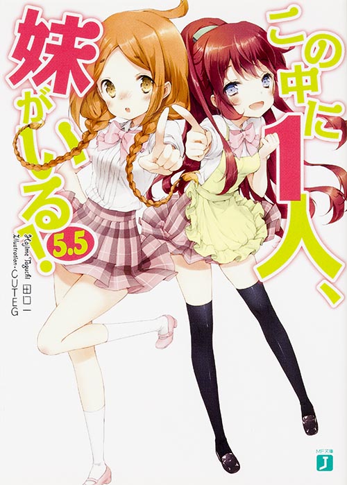 この中に1人、妹がいる! (5.5) (MF文庫J)