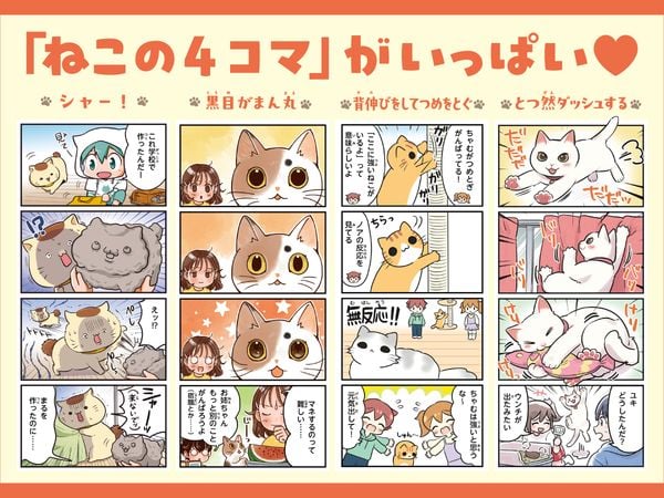 4コマまんがでゆるっとわかる! ねこ語辞典の詳細を見る