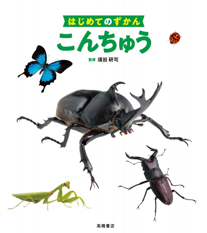 はじめてのずかん こんちゅうの詳細を見る