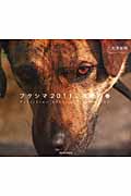 フクシマ2011、沈黙の春の詳細を見る