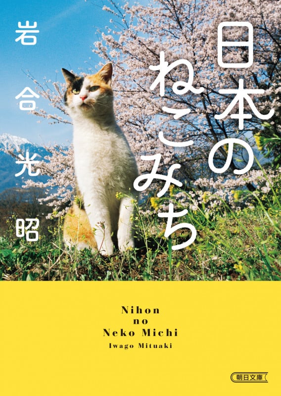 日本のねこみち (朝日文庫)の詳細を見る