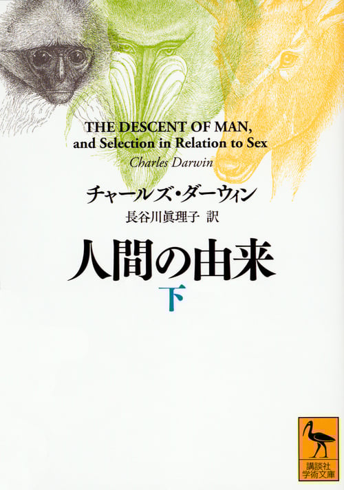 人間の由来(下) (講談社学術文庫)