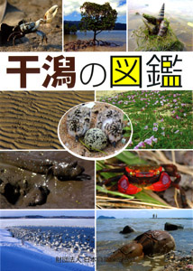 干潟の図鑑