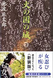 火の国の城 下 (文春文庫)の詳細を見る