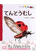 てんとうむし (フレーベル館だいすきしぜん むし 1)