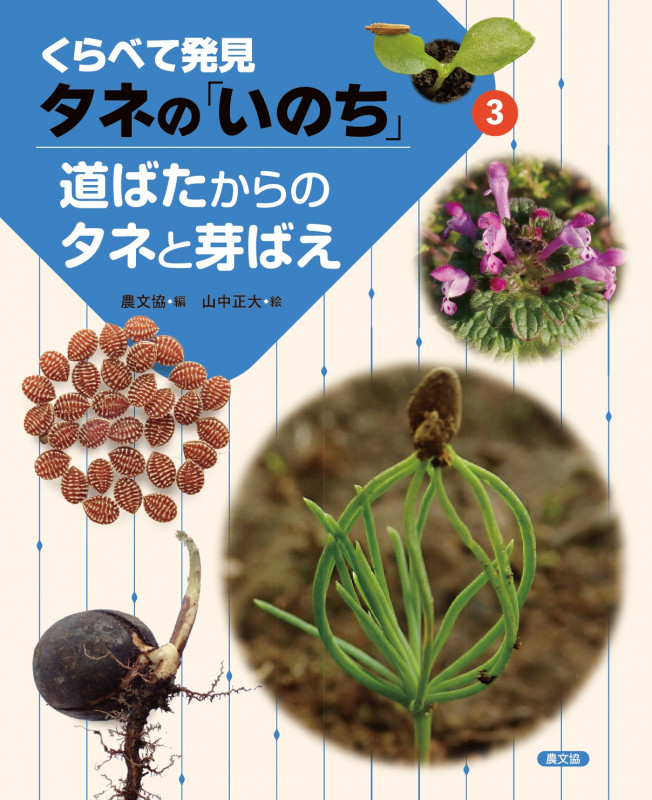 道ばたからのタネと芽ばえ (くらべて発見 タネの「いのち」 3)
