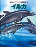 イルカ (動物イラスト生態図鑑 9)