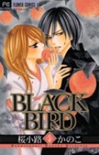 BLACK BIRD (5) (フラワーCベツコミ)