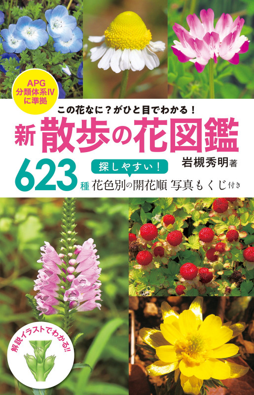 新 散歩の花図鑑 この花なに?がひと目でわかる!の詳細を見る