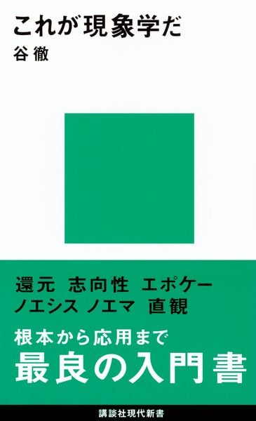 これが現象学だ (講談社現代新書)