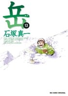 岳 (13) (ビッグ コミックス)