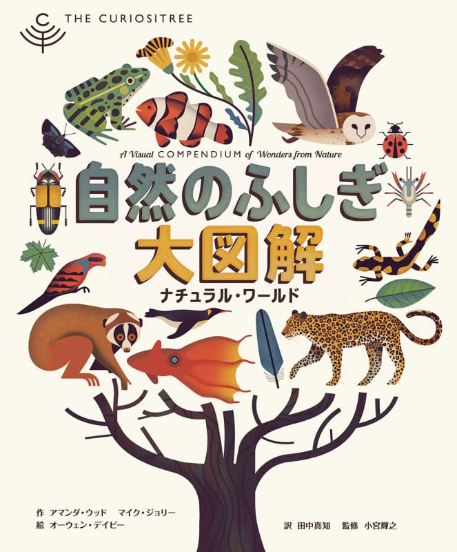 自然のふしぎ大図解 ナチュラル・ワールド