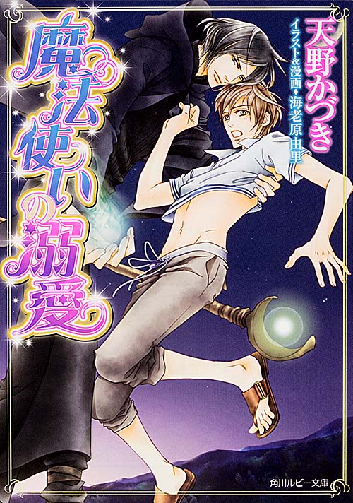 魔法使いの溺愛   (角川ルビー文庫)