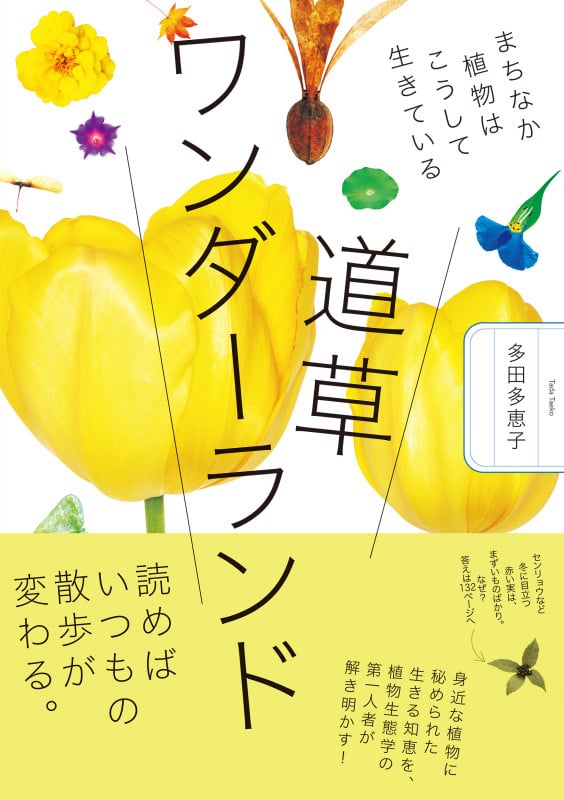 道草ワンダーランド まちなか植物はこうして生きている