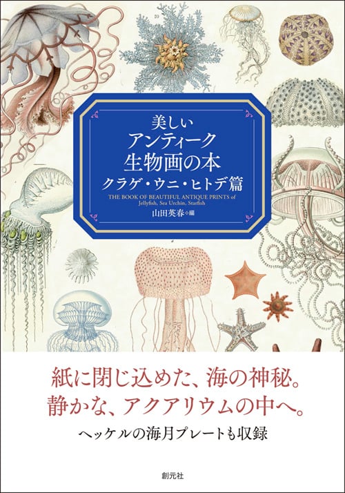 美しいアンティーク生物画の本 クラゲ・ウニ・ヒトデ篇