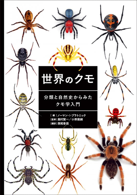 世界のクモ 分類と自然史からみたクモ学入門
