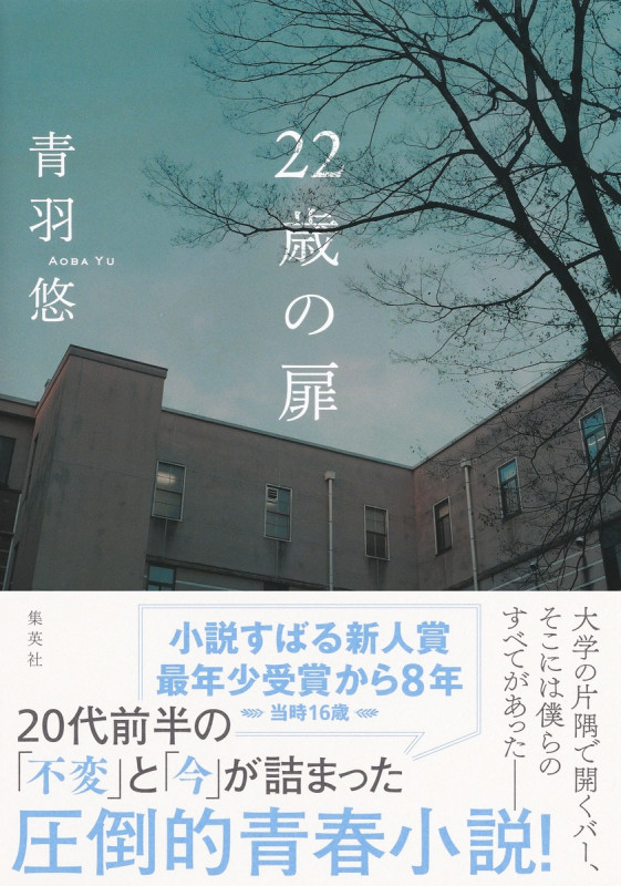 22歳の扉の詳細を見る