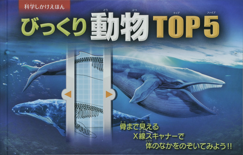 びっくり動物TOP5