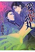 愛の弾丸 (幻冬舎ルチル文庫)