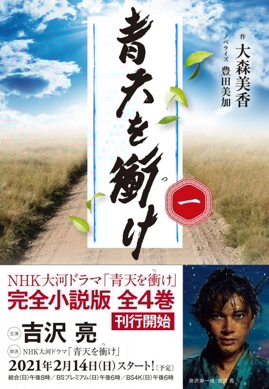 青天を衝け (一)