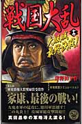 戦国大乱 大坂城最終決戦! (17) (歴史群像新書)