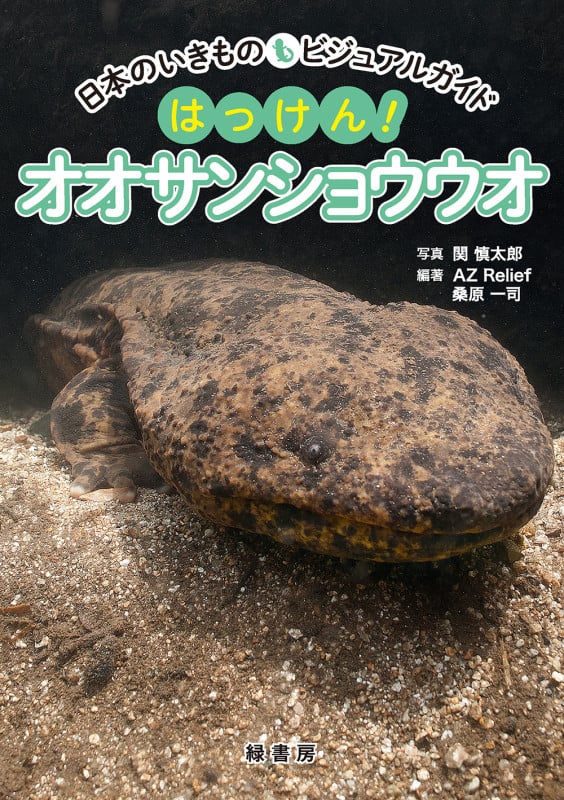日本のいきものビジュアルガイド はっけん! オオサンショウウオ