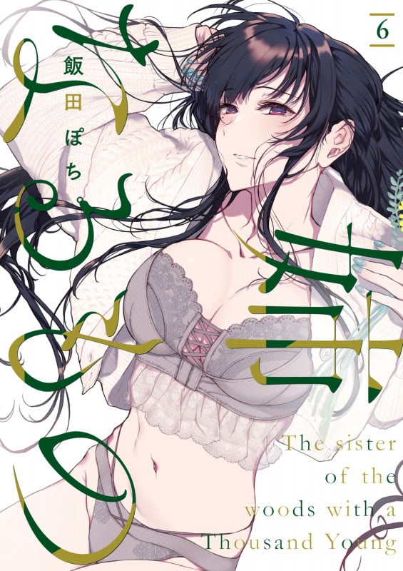 姉なるもの6 (6) (電撃コミックスNEXT)