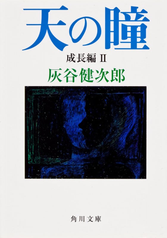 天の瞳 成長編II (角川文庫)