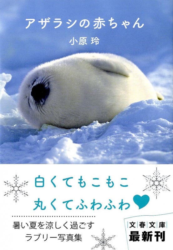 アザラシの赤ちゃん (文春文庫)